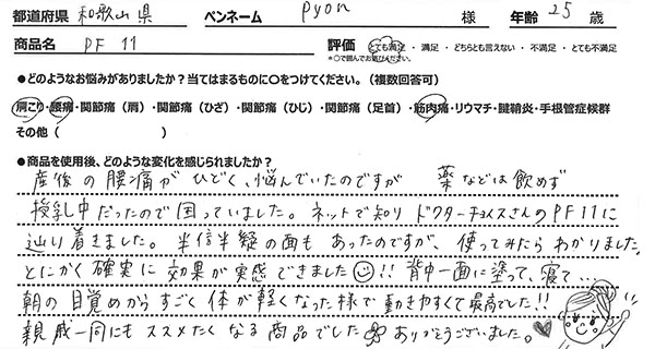 PF11レビュー2