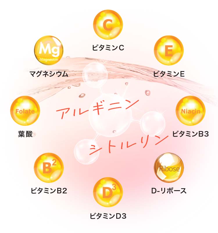 葉酸、ビタミンＣ、ビタミンＥなどの数種類の抗酸化成分