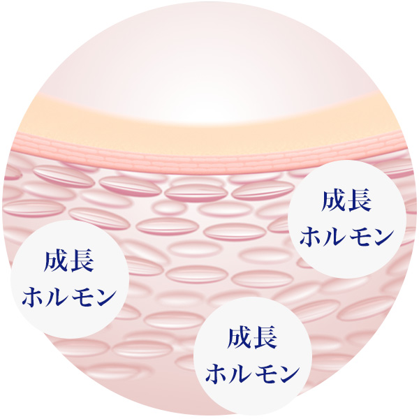 成長ホルモンと肌