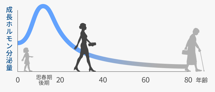 成長ホルモンの分泌量　年代別