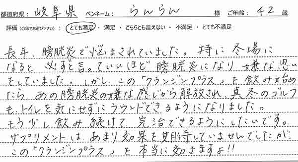 クランジンプラスレビュー2